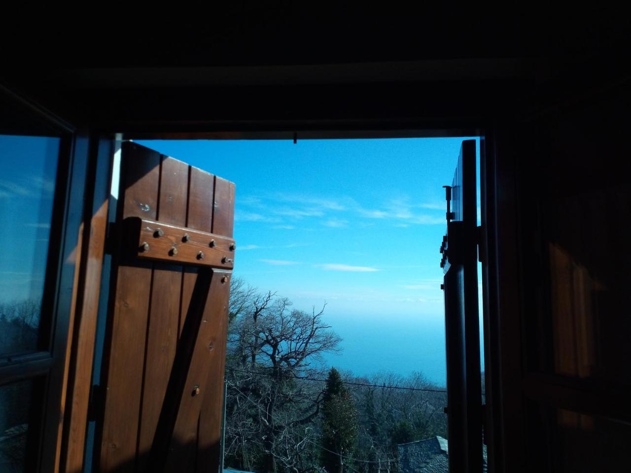 Guesthouse Kalosorisma Tsagarada Exterior photo